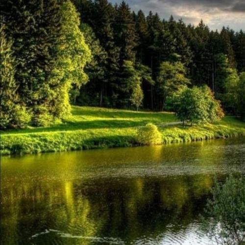  من یه جنازه زندم که همه آرزوهاشو سوزوندن