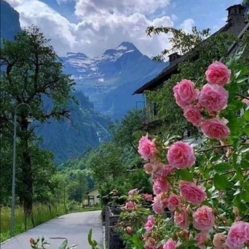 نرگس مختاری و سعید صالحی جومه نارنجی