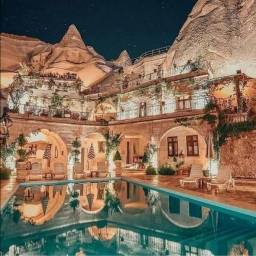 دینا نیرگز