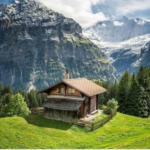 پارمیدا نظری داغ سرزمینم