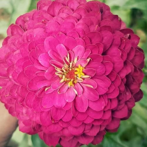  باشه برا تو ما که نخواستیم بمونیم دنیا با آدماش برا تو