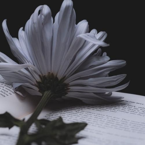  دیوونه بازیات از یاد من نمیره