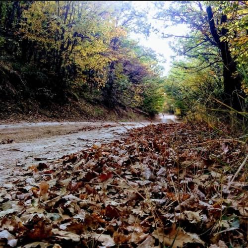  همه چیو ول کن بریم تو آب وقتی میری دستام لای موهات