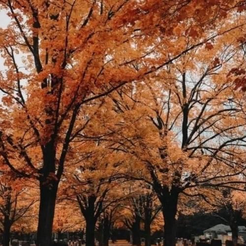 اصلا آشوب به پا کن اتاق بغلی یه دخترس خوشگل