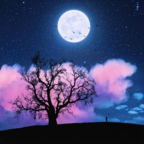 بیتا نابی کی آرزو کرد امشب دلم بگیره به آرزوش رسید