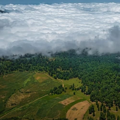 رشید رضایی بهترین رفیق
