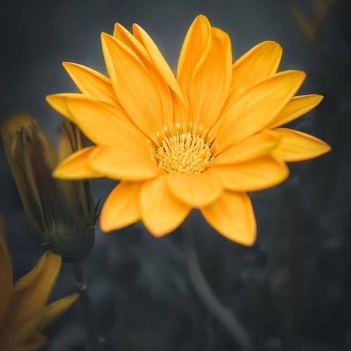  مامان اگه دیدی پسرت میخونه داره راه میره