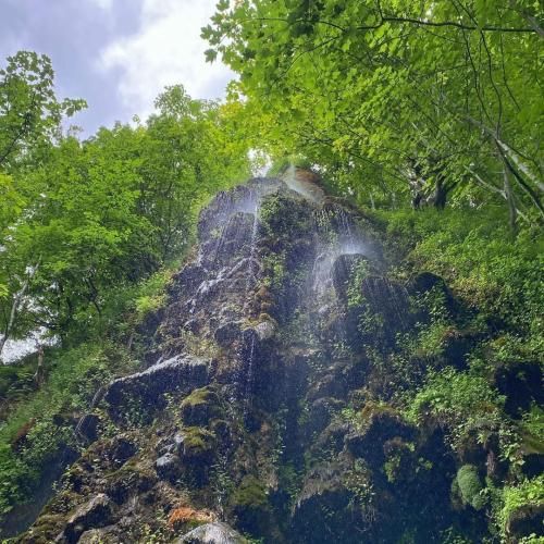 رشید رضایی سلطان