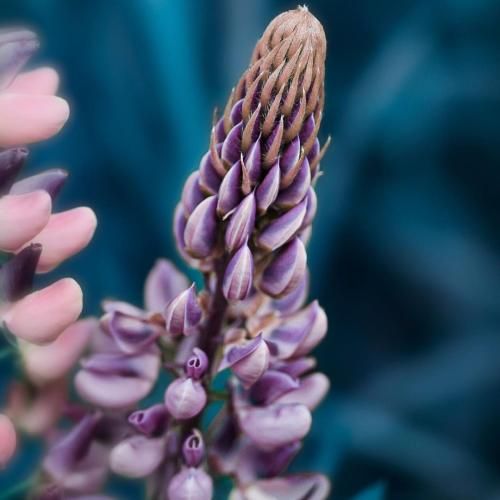  منو جام و می و معشوق الباقی اضافات است با صدای زن