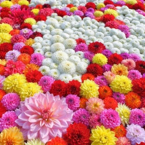  هر لحظه حالم بدتره تو این روزا صدای پسر بچه