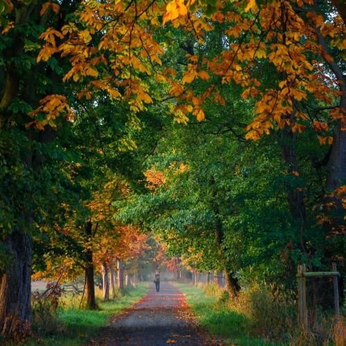 بیتا نابی هرشو وناو خو تو دینم خدا بسه دی نتینم