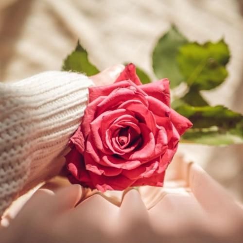 فاطمه مهلبان میرزا کوچک خان