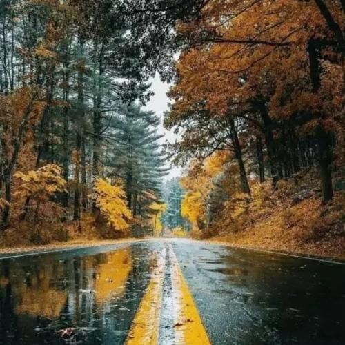  چشات دل سنگمو ببین چطور آبش کرد