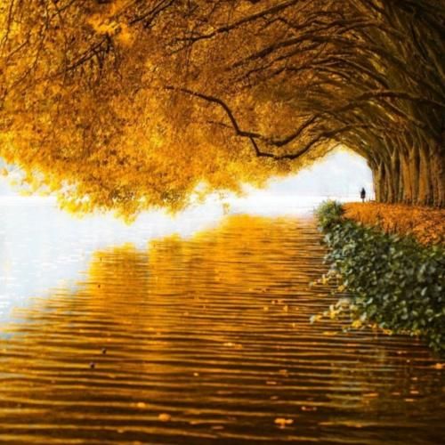 میفته اینورا مسیرت تو که هیچوقت تقصیرت نیس با صدای پسر بچه