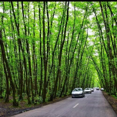  اوو نمیتونم یجا وایسم میخوام پرت بشم از این بالا پایین