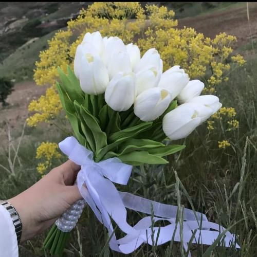 رشید رضایی فرو ریخته