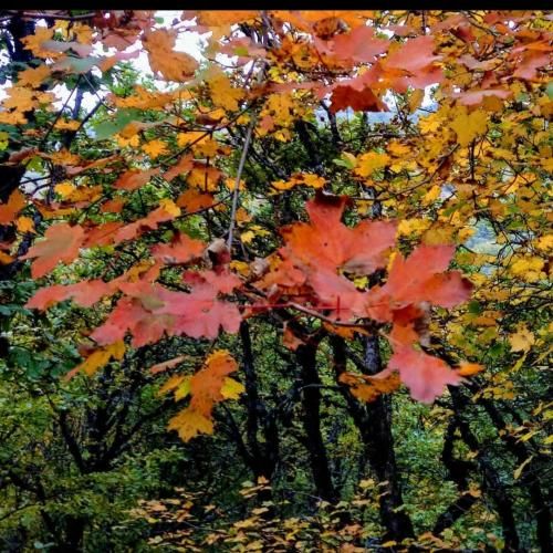  اوو از درد زیاد شدم بی حسی نمیخوام الان برسی