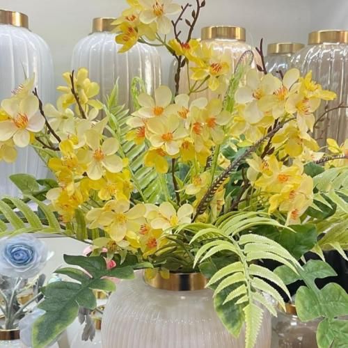  لیه یا حبیبی تنسانی