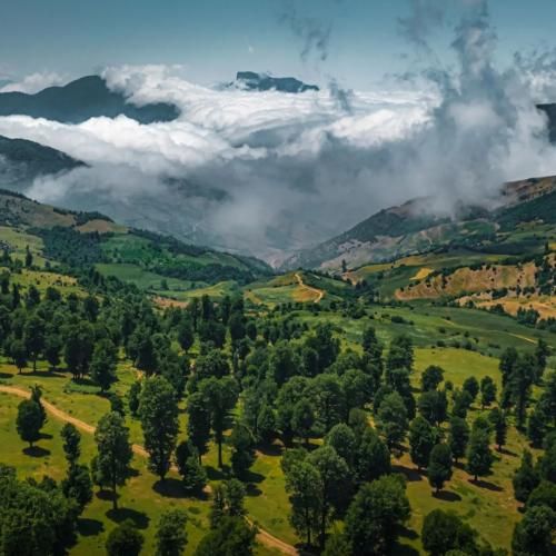 رشید رضایی عاشقتم