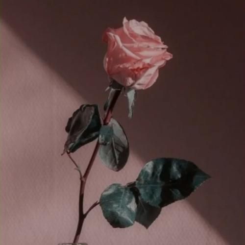  میگفت تو نداری دلشو یه روز بخوای ترکم کنی