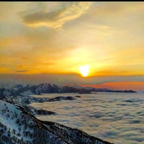 رشید رضایی روانی