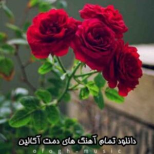 گلچین تمام آهنگ های دمت آکالین 2023