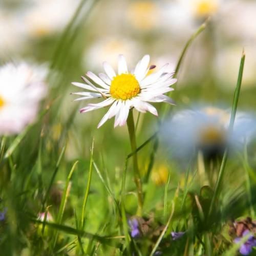 چشمامو بستم تا حالمو نبینی با صدای زن (نازنین)
