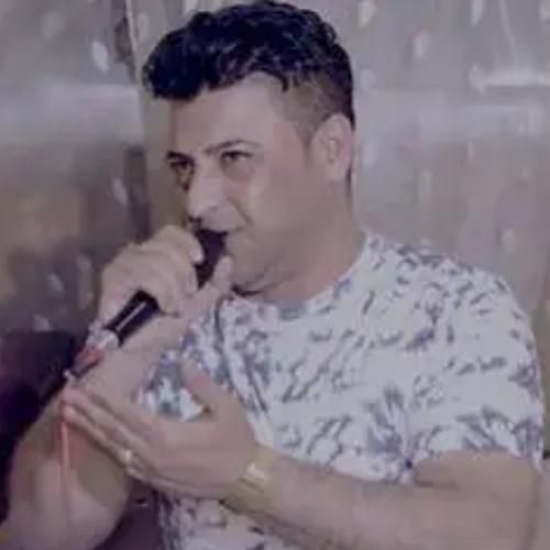نریمان محمود خوزگه هر توم ندیایا دلم هر تنیا بوایا