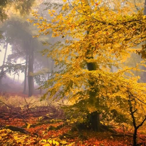 کجا میخوای تو بی من بری تنها موندم با صدای پسر بچه