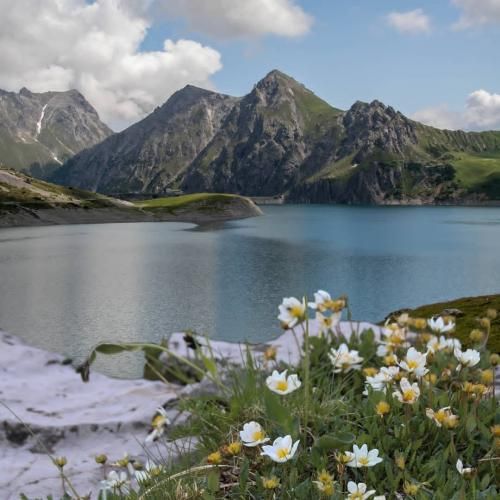 دیجی استاد مهمونی