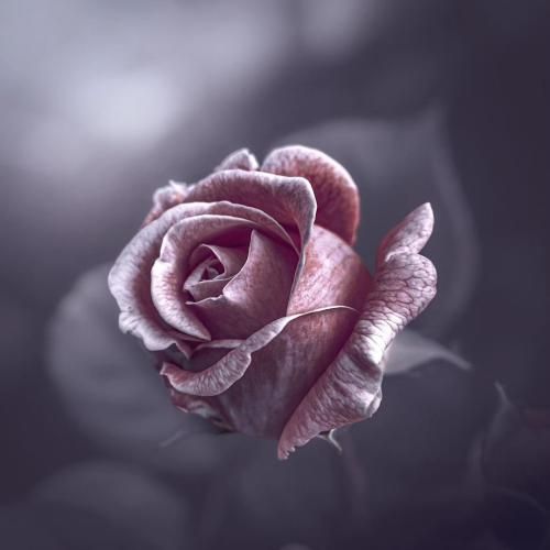  نمیدونه من دارم هی هواشو حتی وقتی ما بینمون