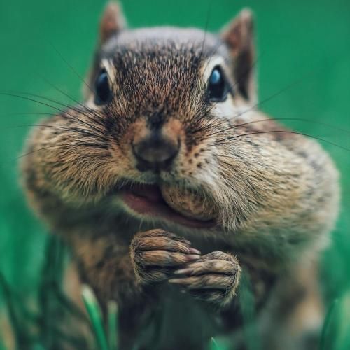  خیلی غریبی واسه من از چه شبی جدا شدیم با صدای زن