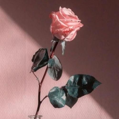  من گم شدم توی دنیای تو هرچی که هست برا تو