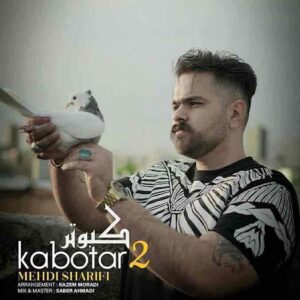 دانلود آهنگ جدید کبوتر 2 از مهدی شریفی