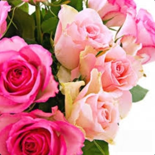 ایران جای آرزوها نیست یروزی منم رفتنی میشم