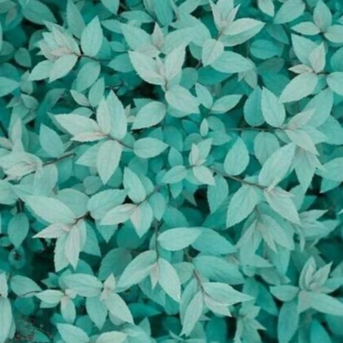  میگفتم نباشم میگفتی نمیشه میکشیدی یه قلب