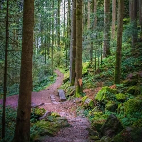  ای آسمون ابری بی خورشید و ماهن یه قطار اوراقی