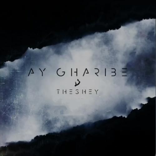 آلبوم ای غریبه از د شی (theshey)