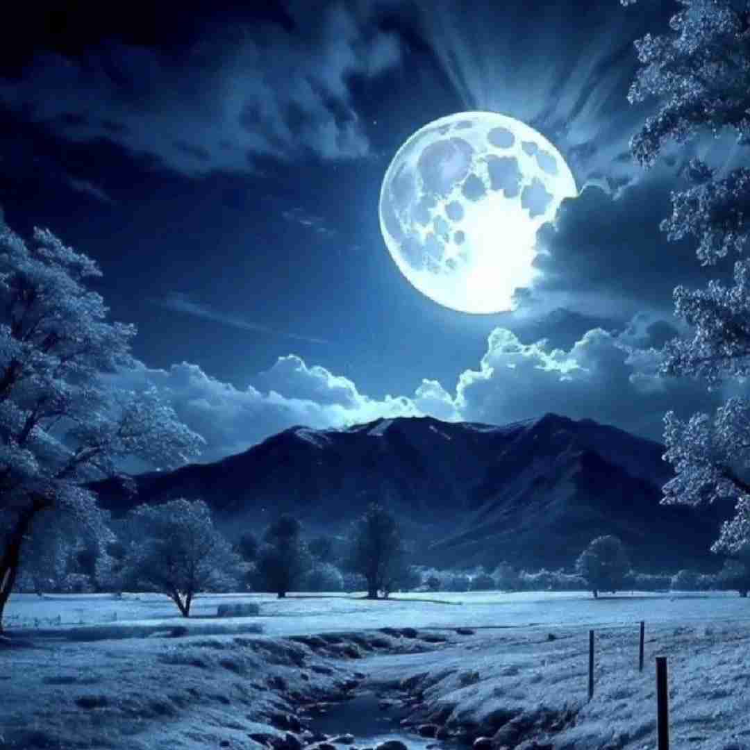  امشبو سینگلیم ما نبینم بشی هیستریکا