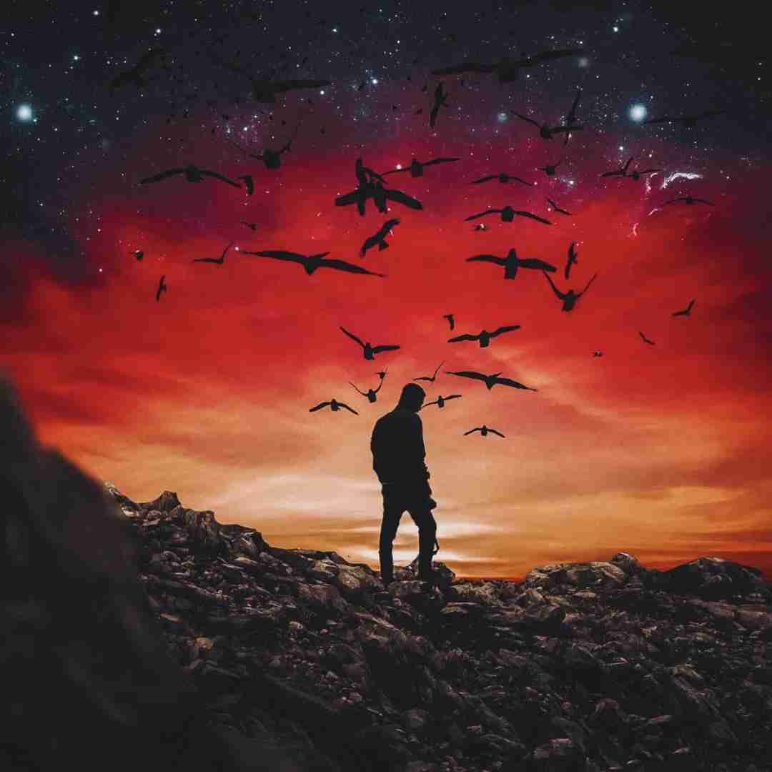  دل شب یادت کرده دلم ای داد به سرم مانده