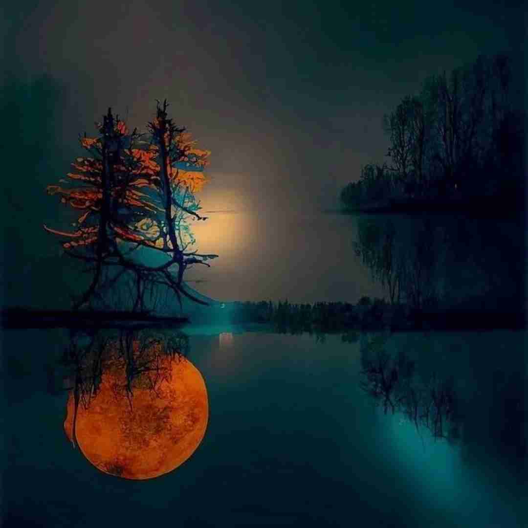  دوس دارم عاطفه خوب باشه حالش