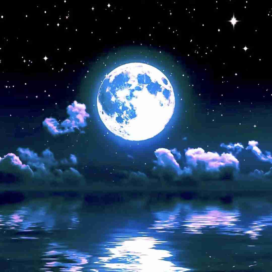 بی ال اچ ریمیکس حلال