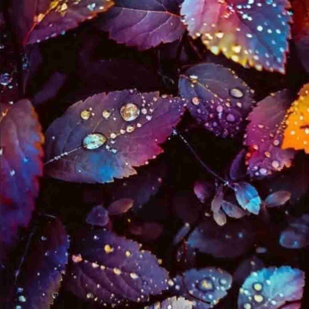 زهرا دادشاهی خوبی نخوبه