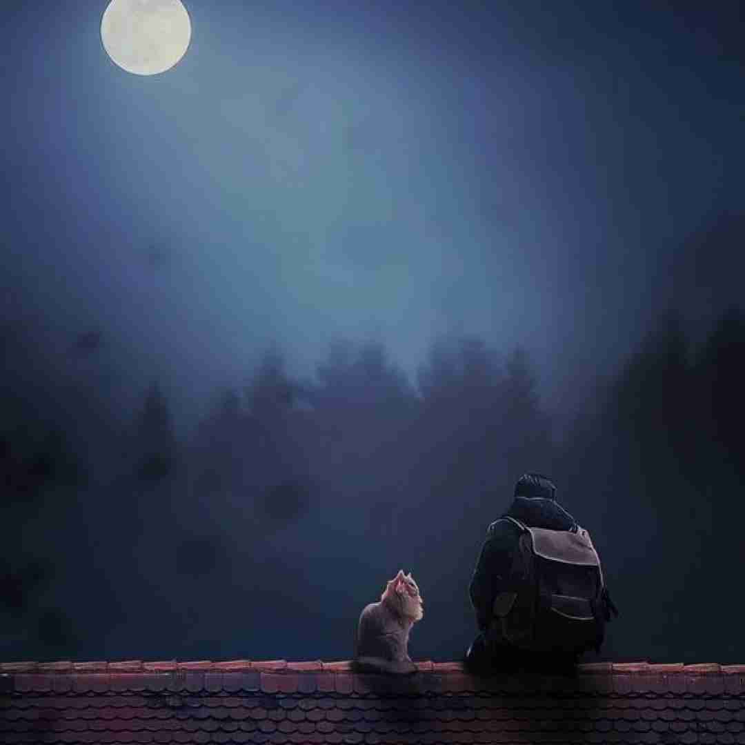 ترکی تو مرا در جوانی پیر کردی با صدای دختر