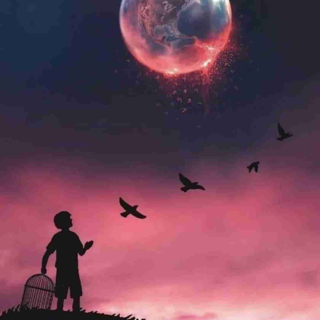 یاسر شرافتی آمل شهر دله شرخنه زمه
