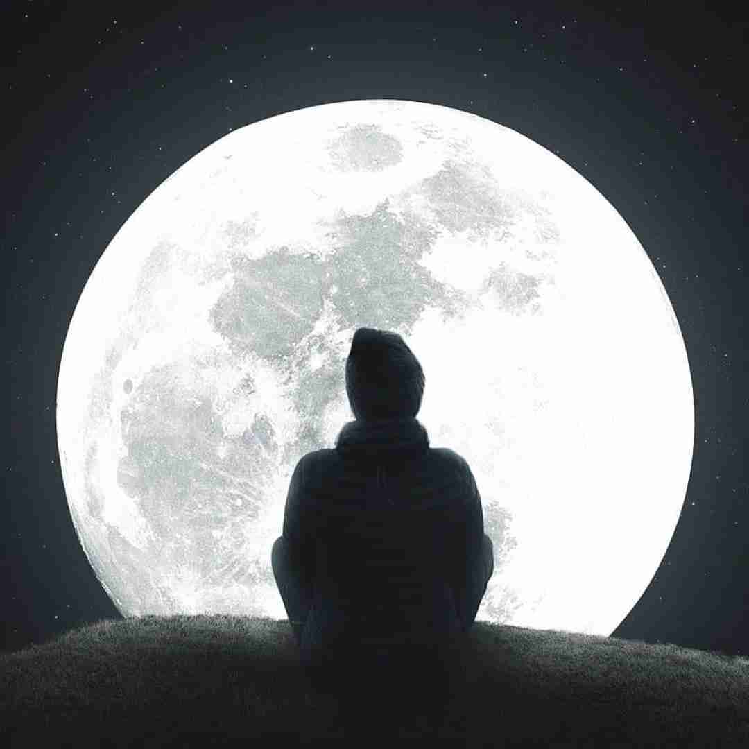  خودم تنها تنها دلم چو شام بی فردا دلم