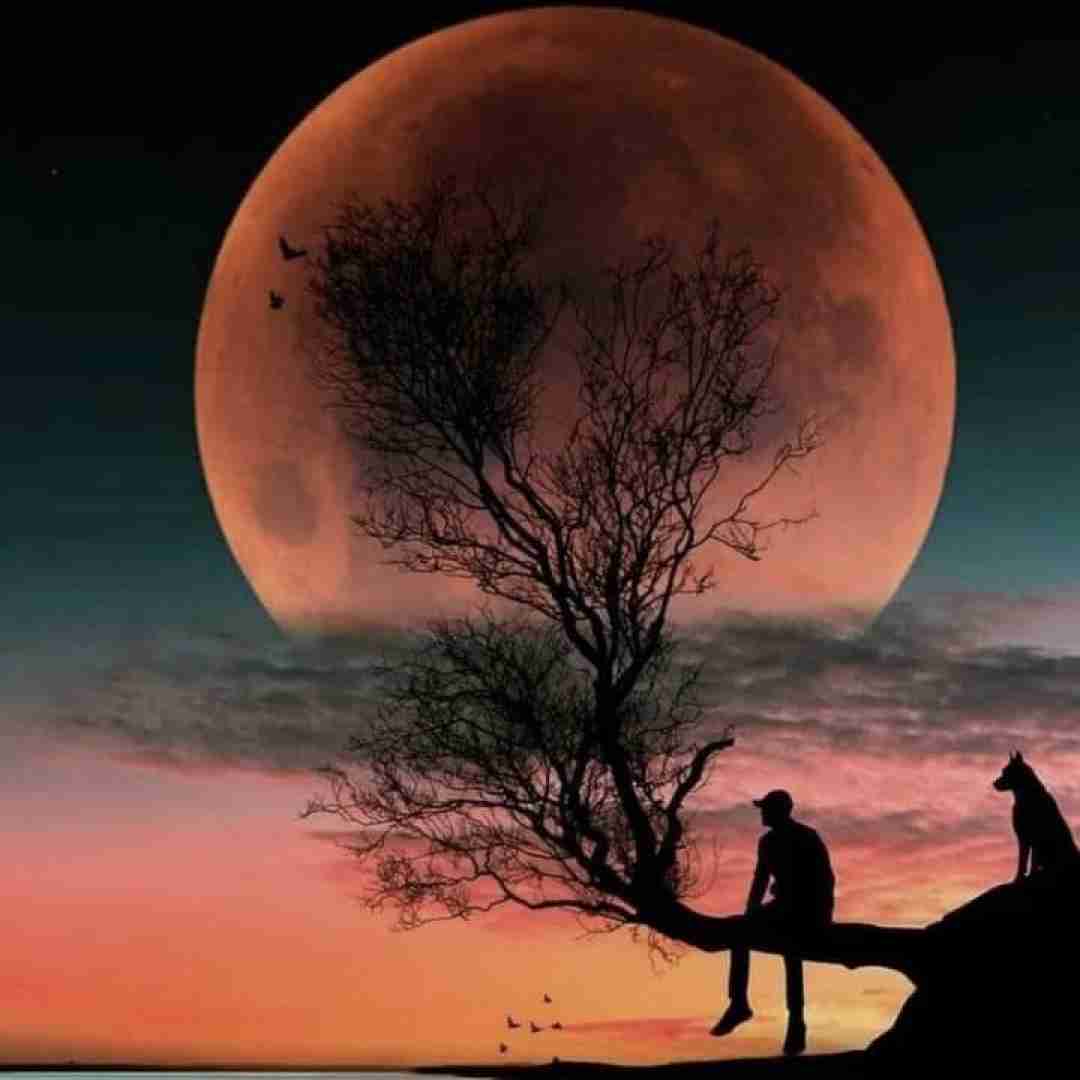  خارجی مزش شبیه فلفله حسم میکنی