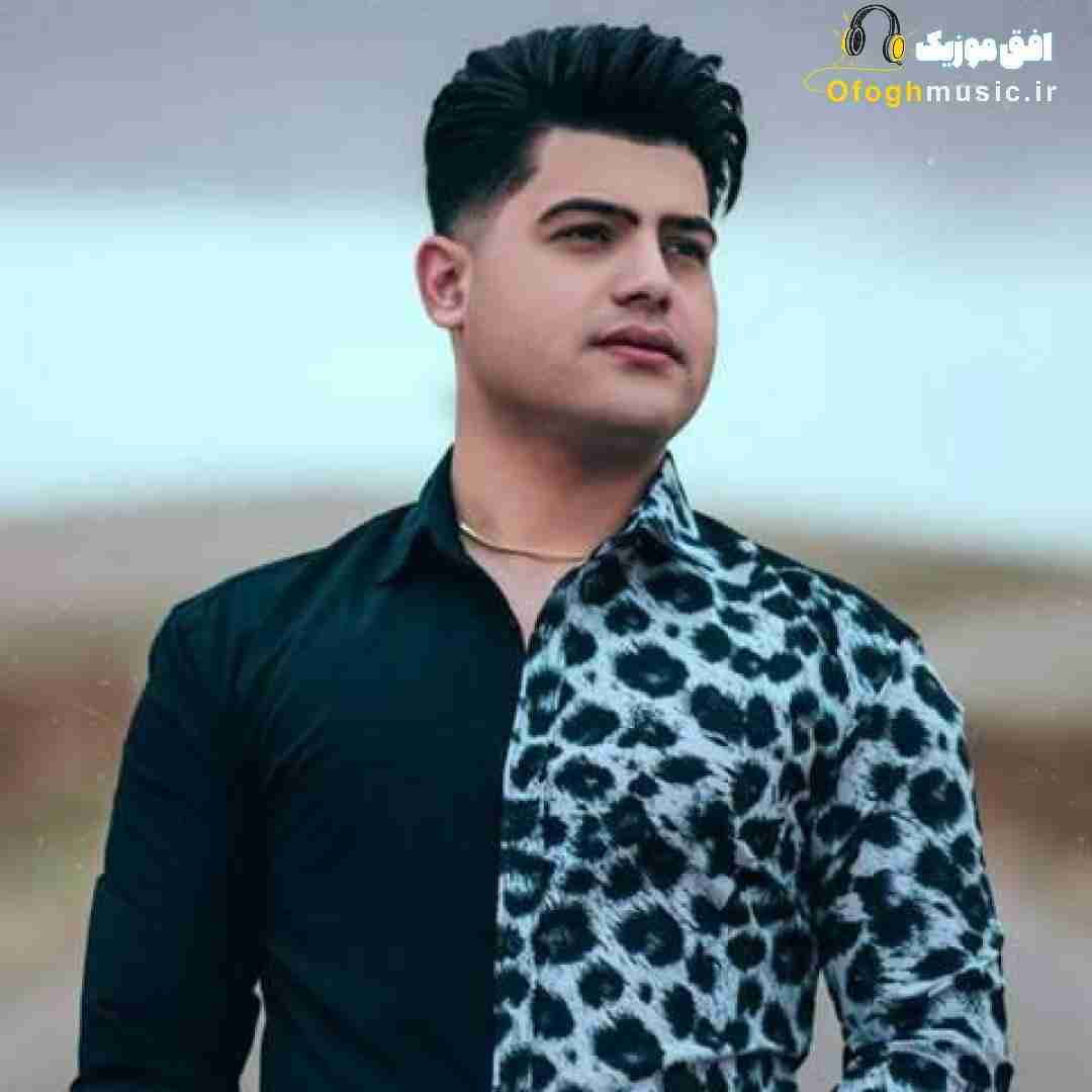 امیرحافظ رنجبر تولد