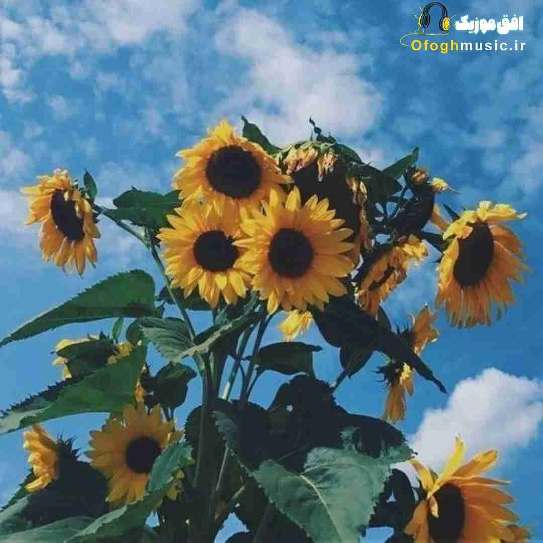  گل من گل من گل خوشگل من - حذف اسم ژینا از شادمهر