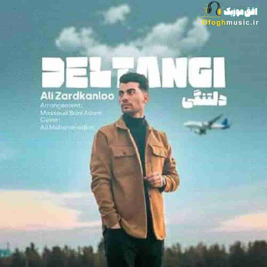 علی زردکانلو دلتنگی